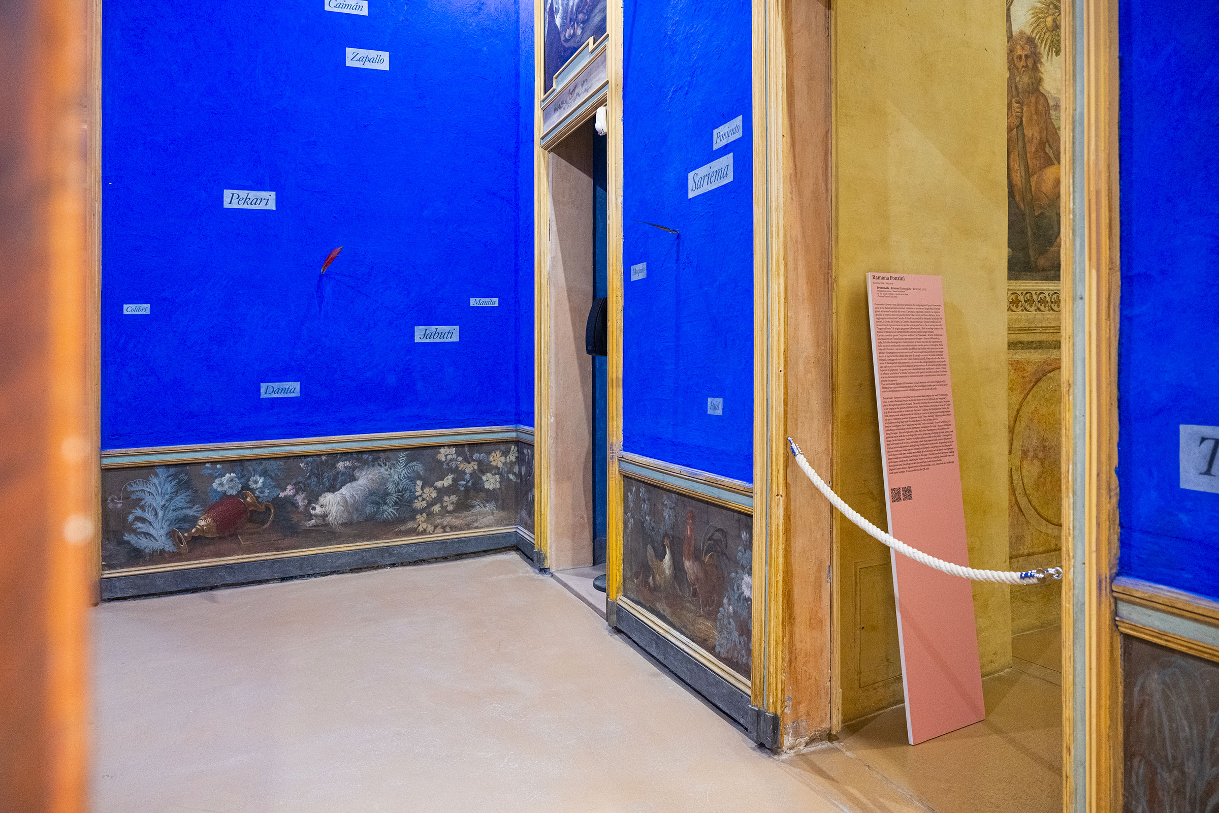 u0022I suoni del mondo / Sounds of the worldu0022, veduta espositiva